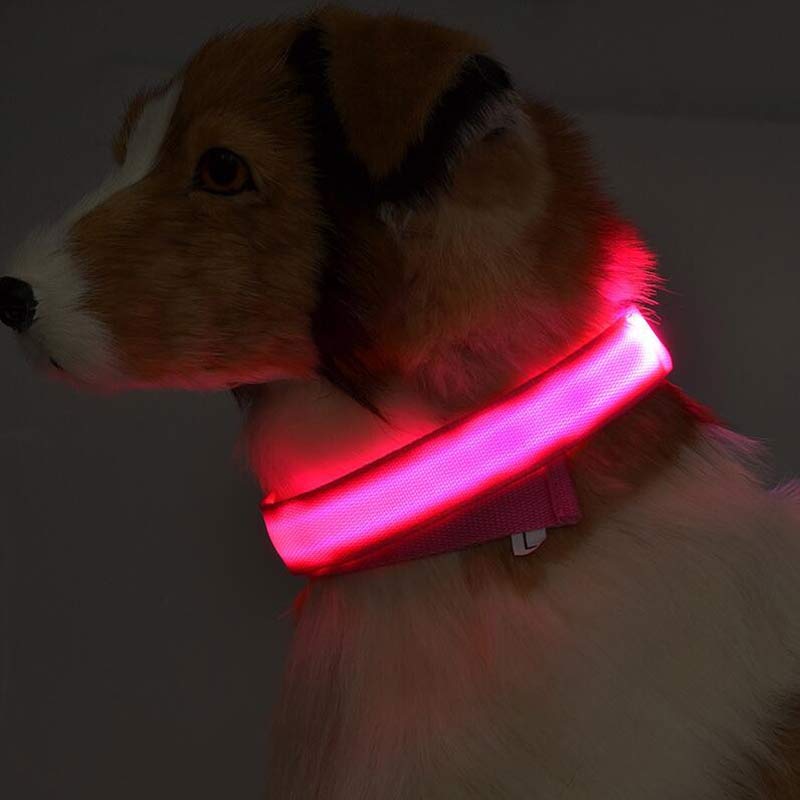 Nylon LED Haustier Hund Leuchthalsband Nacht Sicherheit blinkendes Leuchten im Dunkeln Hund Katze Leine Einstellbare Haustierversorgung